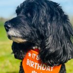 Happy Birthday Missy
