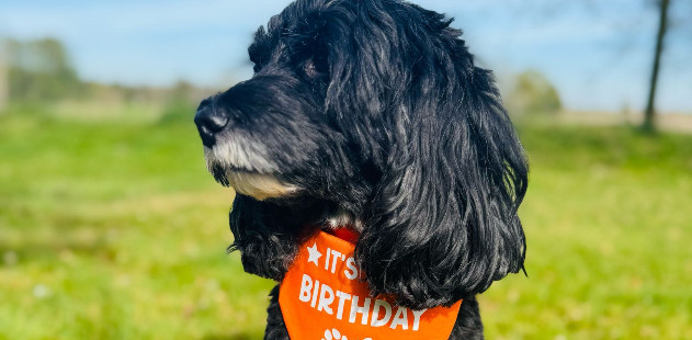 Happy Birthday Missy