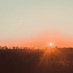 New Dawn, New Day. New Role?