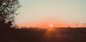 New Dawn, New Day. New Role?