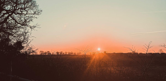 New Dawn, New Day. New Role?